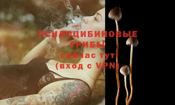 гидра Алексеевка