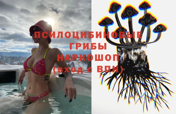 mix Алексин