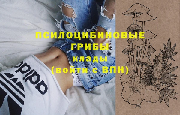 mix Алексин