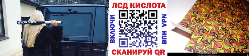 купить наркотики сайты  кракен ссылки  Наркотические марки 1500мкг  Бокситогорск 